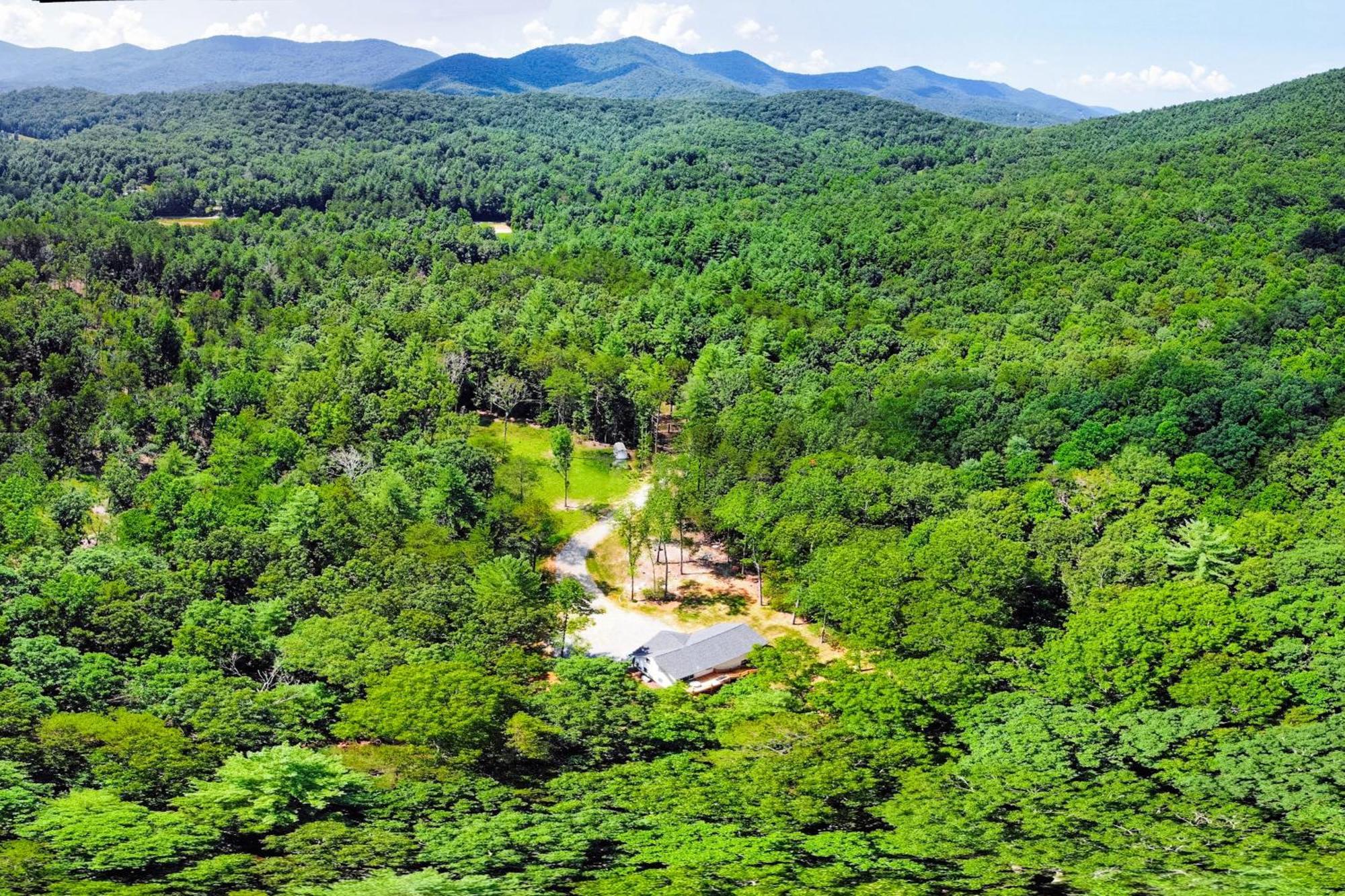 White Owl * Blairsville